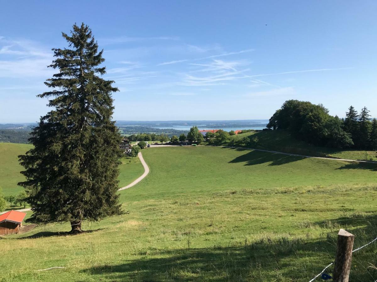 Fewo Chiemsee Spezial اسخو ام شيمغاو المظهر الخارجي الصورة